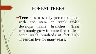 FOREST TREES
Tree - is a woody perennial plant
with one stem or trunk which
develops many branches. Tress
commonly grow to more that 10 feet,
some reach hundreds of feet high.
Trees can live for many years.
 