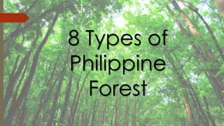 8 Types of
Philippine
Forest
 