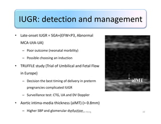 Truffle Study Algorithim Report from ISSUOG CONGRESS, SYDNEY, 2013 | PDF