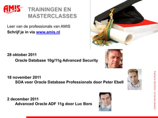 Oracle ADF Business Components