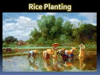 Rice Planting
 