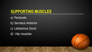 SUPPORTING MUSCLES
a) Pectorals
b) Serratus Anterior
c) Latissimus Dorsi
d) Hip muscles
 