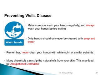 City of Glasgow College 23
Preventing Weils Disease
• Make sure you wash your hands regularly, and always
wash your hands before eating
• Dirty hands should only ever be cleaned with soap and
water
• Remember, never clean your hands with white spirit or similar solvents
• Many chemicals can strip the natural oils from your skin. This may lead
to Occupational Dermatitis
 