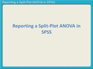 Reporting a Split-Plot ANOVA in 
SPSS 
 