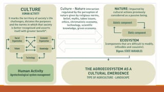 reporting THE NEED FOR A UNIFIED AGROECOSYSTEM CONCEPT.pptx