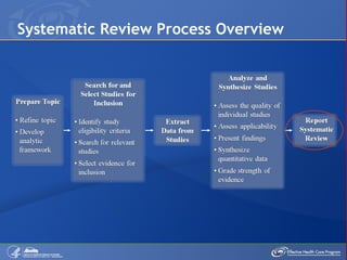 Systematic Review Process Overview 