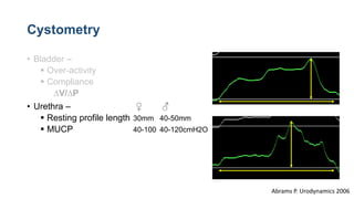 Reporting urodynamics | PPTX