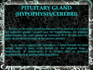 PITUITARY GLAND
(HYPOPHYSIS/CEREBRI)
Known as the master gland because part of its function is to control
the endocrine glands. Located near the hypothalamus, the pituitary
gland secretes the most number of hormones. It is divided into two
parts: the posterior pituitary & the anterior pituitary.
As its names suggests, the hypophysis is found beneath the brain
resting within a bony crypt formed by the sphenoid bone.
Anatomically & functionally it is divided into an posterior
neurohypophysis & anterior adenohypophysis.

 