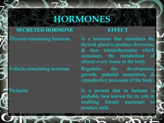 HORMONES
SECRETED HORMONE
Thyroid-stimulating hormone

Follicle-stimulating hormone

Prolactin

EFFECT
Is a hormone that stimulates the
thyroid gland to produce thyroxine,
& then triiodothyronine which
stimulates the metabolism of
almost every tissue in the body.
Regulates
the
development,
growth, pubertal maturation, &
reproductive processes of the body.
Is a protein that in humans is
probably best known for its role in
enabling female mammals to
produce milk.

 