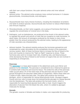 with their own unique functions: the outer adrenal cortex and inner adrenal
medulla.
Adrenal cortex: The adrenal cortex produces many cortical hormones in 3 classes:
glucocorticoids, mineralocorticoids, and androgens.

1. Glucocorticoids have many diverse functions, including the breakdown of proteins
and lipids to produce glucose. Glucocorticoids also function to reduce inflammation
and immune response.
2. Mineralocorticoids, as their name suggests, are a group of hormones that help to
regulate the concentration of mineral ions in the body.
3. Androgens, such as testosterone, are produced at low levels in the adrenal cortex
to regulate the growth and activity of cells that are receptive to male hormones. In
adult males, the amount of androgens produced by the testes is many times
greater than the amount produced by the adrenal cortex, leading to the appearance
of male secondary sex characteristics.
Adrenal medulla: The adrenal medulla produces the hormones epinephrine and
norepinephrine under stimulation by the sympathetic division of the autonomic
nervous system. Both of these hormones help to increase the flow of blood to the
brain and muscles to improve the “fight-or-flight” response to stress. These
hormones also work to increase heart rate, breathing rate, and blood pressure
while decreasing the flow of blood to and function of organs that are not involved in
responding to emergencies.
Pancreas
The pancreas is a large gland located in the abdominal cavity just inferior and
posterior to the stomach. The pancreas is considered to be a heterocrine gland as
it contains both endocrine and exocrine tissue. The endocrine cells of the pancreas
make up just about 1% of the total mass of the pancreas and are found in small
groups throughout the pancreas called islets of Langerhans. Within these islets are
2 types of cells—alpha and beta cells. The alpha cells produce the hormone
glucagon, which is responsible for raising blood glucose levels. Glucagon triggers
muscle and liver cells to break down the polysaccharide glycogen to release glucose
into the bloodstream. The beta cells produce the hormone insulin, which is
responsible for lowering blood glucose levels after a meal. Insulin triggers the
absorption of glucose from the blood into cells, where it is added to glycogen
molecules for storage.
Gonads
The gonads—ovaries in females and testes in males—are responsible for producing

 