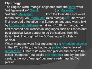EtymologyThe English word "mango" originated from the Tamil word "māṅgai/mankay” (Tamil: மாங்காய்) or Malayalam "māṅṅa" (Malayalam: മാങ്ങ; from the Dravidian root word for the same), via Portuguese (also manga).[4][5] The word's first recorded attestation in a European language was a text by Ludovico di Varthema in Italian in 1510, as manga; the first recorded occurrences in languages such as French and post-classical Latin appear to be translations from this Italian text. The origin of the "-o" ending in English is unclear.When mangoes were first imported to the American colonies in the 17th century, they had to be pickled due to lack of refrigeration. Other fruits were also pickled and came to be called "mangoes" (especially bell peppers), and by the 18th century, the word "mango" became a verb meaning "to pickle". 