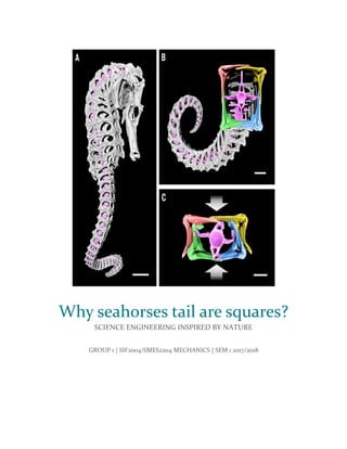 Why seahorses tail are squares?
SCIENCE ENGINEERING INSPIRED BY NATURE
GROUP 1 | SIF2004/SMES2204 MECHANICS | SEM 1 2017/2018
 