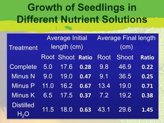Growth of Seedlings in
  Different Nutrient Solutions
              Average Initial    Average Final length
Treatment      length (cm)              (cm)
             Root Shoot   Ratio Root Shoot     Ratio
Complete     5.0 17.6     0.28 9.8   46.9      0.22
Minus N      9.0 19.0     0.47 9.1   36.5      0.25
Minus P      11.0 16.2    0.67 13.4 19.0       0.71
Minus K      6.5 17.5     0.37 7.2   19.2      0.38
 Distilled
             11.5 18.0    0.63   43.1   29.6    1.45
  H2O
 