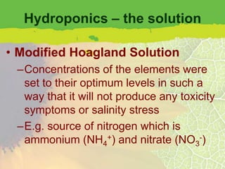 Hydroponics – the solution

• Modified Hoagland Solution
 –Concentrations of the elements were
  set to their optimum levels in such a
  way that it will not produce any toxicity
  symptoms or salinity stress
 –E.g. source of nitrogen which is
  ammonium (NH4+) and nitrate (NO3-)
 