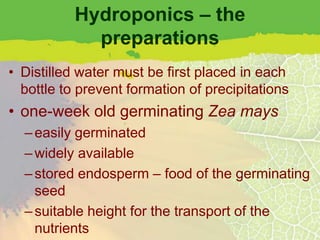 Hydroponics – the
             preparations
• Distilled water must be first placed in each
  bottle to prevent formation of precipitations
• one-week old germinating Zea mays
  – easily germinated
  – widely available
  – stored endosperm – food of the germinating
    seed
  – suitable height for the transport of the
    nutrients
 