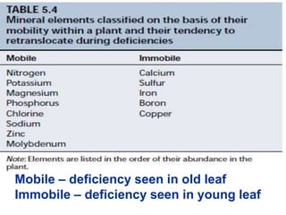 Mobile – deficiency seen in old leaf
Immobile – deficiency seen in young leaf
 