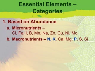 Essential Elements –
           Categories
1. Based on Abundance
 a. Micronutrients –
    Cl, Fe, I, B, Mn, Na, Zn, Cu, Ni, Mo
 b. Macronutrients – N, K, Ca, Mg, P, S, Si
 