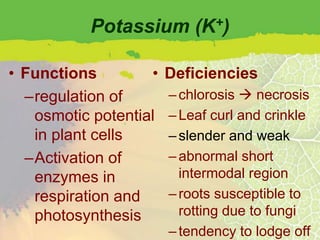 Potassium (K+)

• Functions        •   Deficiencies
  –regulation of       – chlorosis  necrosis
   osmotic potential   – Leaf curl and crinkle
   in plant cells      – slender and weak
  –Activation of       – abnormal short
   enzymes in            intermodal region
   respiration and     – roots susceptible to
   photosynthesis        rotting due to fungi
                       – tendency to lodge off
 
