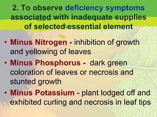 2. To observe deficiency symptoms
 associated with inadequate supplies
     of selected essential element

• Minus Nitrogen - inhibition of growth
  and yellowing of leaves
• Minus Phosphorus - dark green
  coloration of leaves or necrosis and
  stunted growth
• Minus Potassium - plant lodged off and
  exhibited curling and necrosis in leaf tips
 