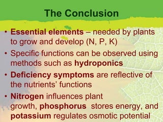 The Conclusion
• Essential elements – needed by plants
  to grow and develop (N, P, K)
• Specific functions can be observed using
  methods such as hydroponics
• Deficiency symptoms are reflective of
  the nutrients’ functions
• Nitrogen influences plant
  growth, phosphorus stores energy, and
  potassium regulates osmotic potential
 