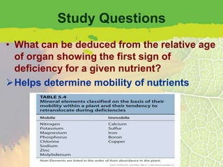 Study Questions
• What can be deduced from the relative age
  of organ showing the first sign of
  deficiency for a given nutrient?
Helps determine mobility of nutrients
 