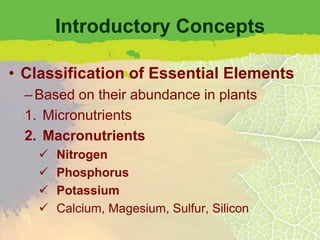 Introductory Concepts

• Classification of Essential Elements
  – Based on their abundance in plants
  1. Micronutrients
  2. Macronutrients
       Nitrogen
       Phosphorus
       Potassium
       Calcium, Magesium, Sulfur, Silicon
 
