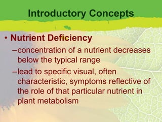 Introductory Concepts

• Nutrient Deficiency
 –concentration of a nutrient decreases
  below the typical range
 –lead to specific visual, often
  characteristic, symptoms reflective of
  the role of that particular nutrient in
  plant metabolism
 