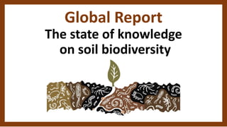 Global Report
The state of knowledge
on soil biodiversity
 