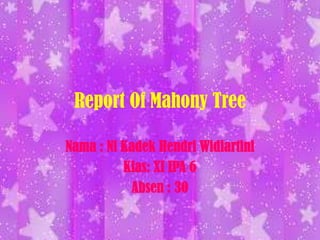 Report Of Mahony Tree Nama : Ni KadekHendriWidiartini Klas: XI IPA 6 Absen : 30 