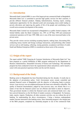 Report of mbl (SME Financing) | DOC