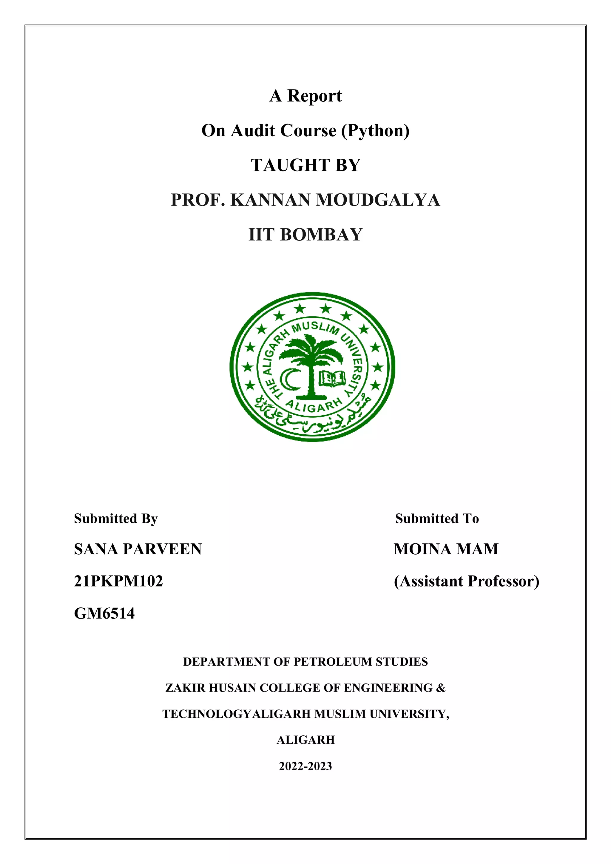 REPORT ON AUDIT COURSE PYTHON BY SANA 2.pdf