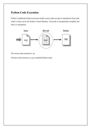 REPORT ON AUDIT COURSE PYTHON BY SANA 2.pdf