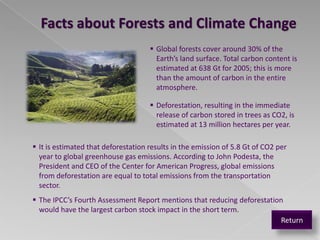 Facts about Forests and Climate Change
                                      Global forests cover around 30% of the
                                       Earth’s land surface. Total carbon content is
                                       estimated at 638 Gt for 2005; this is more
                                       than the amount of carbon in the entire
                                       atmosphere.

                                      Deforestation, resulting in the immediate
                                       release of carbon stored in trees as CO2, is
                                       estimated at 13 million hectares per year.

 It is estimated that deforestation results in the emission of 5.8 Gt of CO2 per
  year to global greenhouse gas emissions. According to John Podesta, the
  President and CEO of the Center for American Progress, global emissions
  from deforestation are equal to total emissions from the transportation
  sector.
 The IPCC’s Fourth Assessment Report mentions that reducing deforestation
  would have the largest carbon stock impact in the short term.
                                                                         Return
 