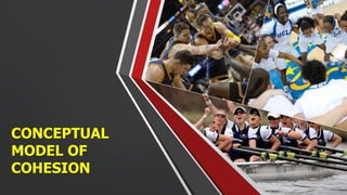 CONCEPTUAL
MODEL OF
COHESION
 