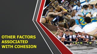 OTHER FACTORS
ASSOCIATED
WITH COHESION
 