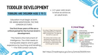 TODDLER DEVELOPMENT
Toddlers are children ages 1 to 3.
Education must begin at birth.
DR. MARIA MONTESSORI, THE 1946
LONDON LECTURES
The first three years of life are a
critical period for the human brain’s
development.
“The hand is the instrument of
intelligence. The child needs to
manipulate objects and to gain
experience by touching and handling.
” —The 1946 London Lectures
Ref: https://medlineplus.gov/ency/article/002010.htm
A 3-year-old’s brain
is twice as active as
an adult brain.
 
