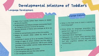 Uses 2 to 3 words (other than mama or dada)
at 12 to 15 months
Understands and follows simple commands (such
as "bring to mommy") at 14 to 16 months
Names pictures of items and animals at 18 to 24
months
Points to named body parts at 18 to 24 months
Begins to answer when called by name at 15
months
Combines 2 words at 16 to 24 months (There is a
range of ages at which children are first able to
combine words into sentences. Talk to your child's
provider if the toddler cannot make sentences by
24 months.)
Knows sex and age by 36 months
Can recognize and say the color names
Can recognize numbers
Language Explosion
Language Development
Developmental Milestone of Toddlers
When is the best time to learn a second or
third language?
Prime times for language acquisition (the
period from age 1.5 to 3 or 4 is marked by a
“language explosion” )
“Absorbent Mind” (Sponge)
“Bilinguals are smarter (that learning other
languages improves not only linguistic skills
but also cognitive abilities like executive
functioning.)
 