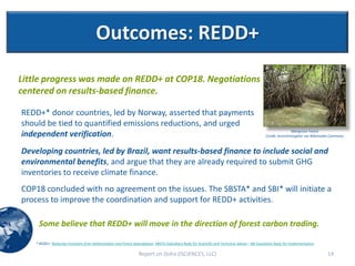 Outcomes: REDD+
Little progress was made on REDD+ at COP18. Negotiations
centered on results-based finance.

REDD+* donor countries, led by Norway, asserted that payments
should be tied to quantified emissions reductions, and urged
                                                                                                                                                               Mangrove Forest
independent verification.                                                                                                                      Credit: Arunchristopher via Wikimedia Commons



Developing countries, led by Brazil, want results-based finance to include social and
environmental benefits, and argue that they are already required to submit GHG
inventories to receive climate finance.
COP18 concluded with no agreement on the issues. The SBSTA* and SBI* will initiate a
process to improve the coordination and support for REDD+ activities.

     Some believe that REDD+ will move in the direction of forest carbon trading.

    * REDD+- Reducing Emissions from Deforestation and Forest Degradation; SBSTA-Subsidiary Body for Scientific and Technical Advice ; SBI-Subsidiary Body for Implementation

                                                                  Report on Doha (ISCIENCES, LLC)                                                                                 14
 