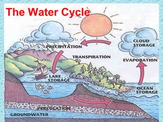 The Water Cycle 
 