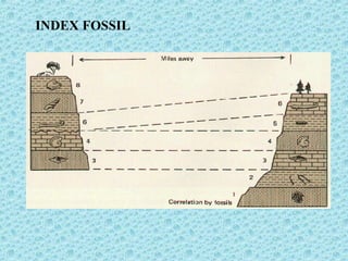 INDEX FOSSIL 
 