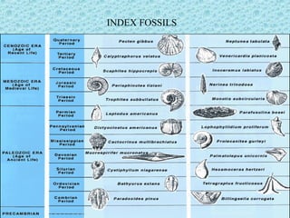 INDEX FOSSILS 
 