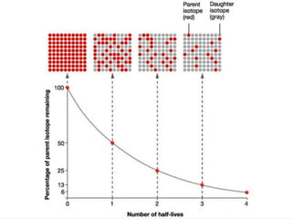 THE RATE AT WHICH A RADIOACTIVE ELEMENT DECAYS. 
IT IS THE TIME IT TAKES FOR HALF OF THE ATOMS OF THE 
RADIOACTIVE ELEMENT TO DECAY TO A STABLE END 
PRODUCT (SEE PAGE 1 OF THE ESRT) 
AT THE END OF EACH HALF-LIFE, HALF OF THE 
RADIOACTIVE MATERIAL REMAINS 
PARENT ISOTOPE = THE RADIOACTIVE ISOTOPE THAT BEGINS 
DAUGHTER ISOTOPE = THE STABLE ISOTOPE THAT HAS BEEN CHANGED 
 