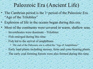 Paleozoic Era (Ancient Life) 
• The Cambrian period is the 1st period of the Paleozoic Era. 
“Age of the Trilobites” 
• Explosion of life in the oceans began during this era. 
• Most of the continents were covered in warm, shallow seas. 
– Invertebrates were dominate - Trilobites 
– Fish emerged during this time 
– Fish led to the arrival of amphibians 
• The end of the Paleozoic era is called the “Age of Amphibians” 
– Early land plants including mosses, ferns and cone-bearing plants. 
– The early coal forming forests were also formed during this time. 
 