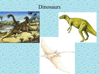 Dinosaurs 
 