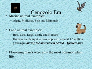 Cenozoic Era • Marine animal examples: 
– Algae, Mollusks, Fish and Mammals 
• Land animal examples: 
– Bats, Cats, Dogs, Cattle and Humans 
– Humans are thought to have appeared around 3.5 million 
years ago (during the most recent period – Quaternary). 
• Flowering plants were now the most common plant 
life. 
 