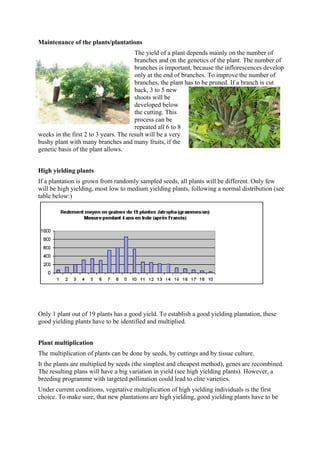 Maintenance of the plants/plantations
                                       The yield of a plant depends mainly on the number of
                                       branches and on the genetics of the plant. The number of
                                       branches is important, because the inflorescences develop
                                       only at the end of branches. To improve the number of
                                       branches, the plant has to be pruned. If a branch is cut
                                       back, 3 to 5 new
                                       shoots will be
                                       developed below
                                       the cutting. This
                                       process can be
                                       repeated all 6 to 8
weeks in the first 2 to 3 years. The result will be a very
bushy plant with many branches and many fruits, if the
genetic basis of the plant allows.


High yielding plants
If a plantation is grown from randomly sampled seeds, all plants will be different. Only few
will be high yielding, most low to medium yielding plants, following a normal distribution (see
table below:)




Only 1 plant out of 19 plants has a good yield. To establish a good yielding plantation, these
good yielding plants have to be identified and multiplied.


Plant multiplication
The multiplication of plants can be done by seeds, by cuttings and by tissue culture.
It the plants are multiplied by seeds (the simplest and cheapest method), genes are recombined.
The resulting plans will have a big variation in yield (see high yielding plants). However, a
breeding programme with targeted pollination could lead to elite varieties.
Under current conditions, vegetative multiplication of high yielding individuals is the first
choice. To make sure, that new plantations are high yielding, good yielding plants have to be
 