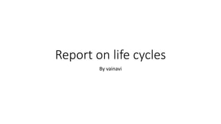 Report on life cycles
By vainavi
 