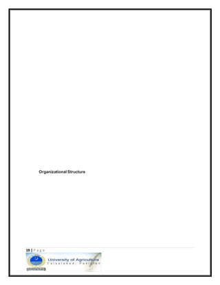 19 | P a g e
Organizational Structure
 