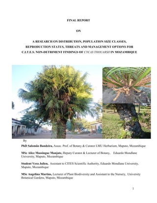 1
FINAL REPORT
ON
A RESEARCH ON DISTRIBUTION, POPULATION SIZE CLASSES,
REPRODUCTION STATUS, THREATS AND MANAGEMENT OPTIONS FOR
C.I.T.E.S. NON-DETRIMENT FINDINGS OF CYCAS THOUARSII IN MOZAMBIQUE
By
PhD Salomão Bandeira, Assoc. Prof. of Botany & Curator LMU Herbarium, Maputo, Mozambique
MSc Alice Massingue Manjate, Deputy Curator & Lecturer of Botany, Eduardo Mondlane
University, Maputo, Mozambique
Student Vera Julien, Assistant to CITES Scientific Authority, Eduardo Mondlane University,
Maputo, Mozambique
MSc Angelina Martins, Lecturer of Plant Biodiversity and Assistant to the Nursery, University
Botanical Gardens, Maputo, Mozambique
 