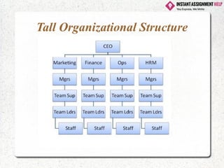 Tall Organizational Structure
 